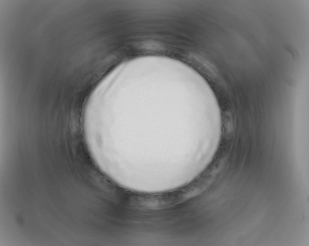 X0000113040369200910081216