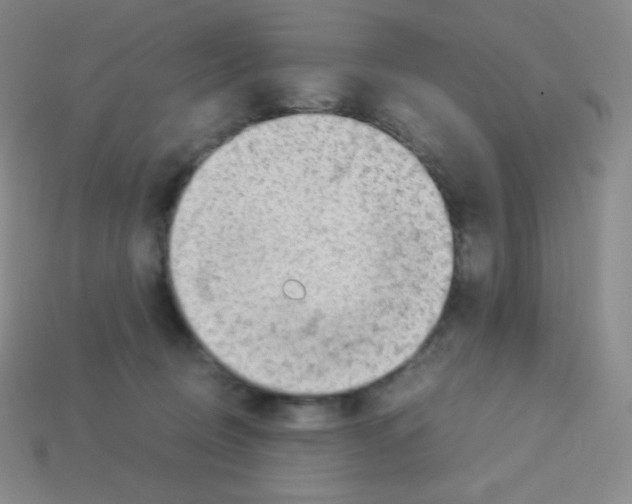 X0000113040370200910081216