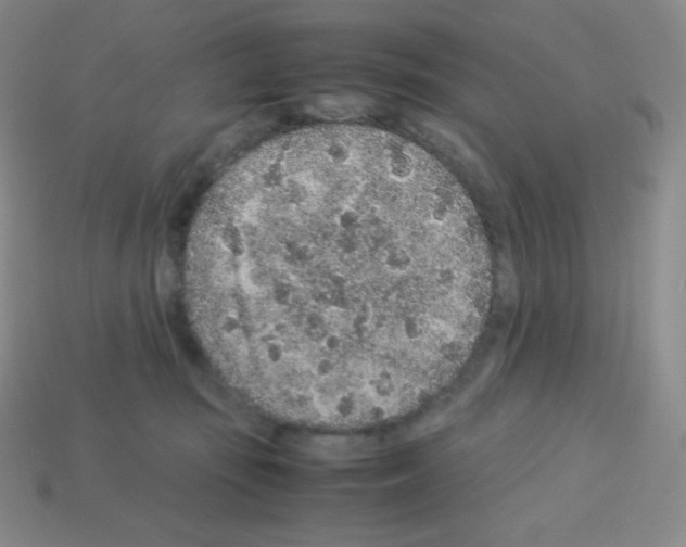 X0000113040371200910081216