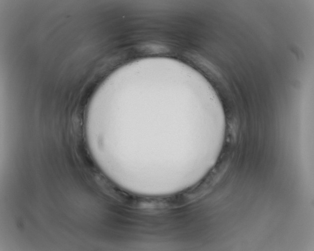 X0000113040373200910081216