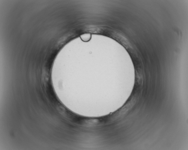 X0000113040374200910081216