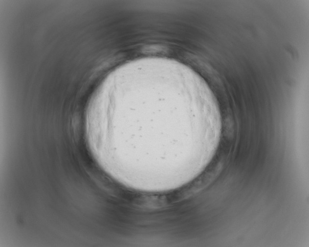 X0000113040375200910081216