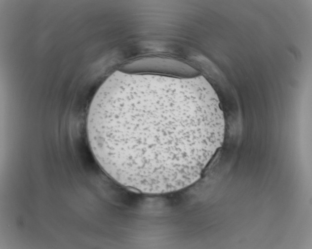 X0000113040376200910081216
