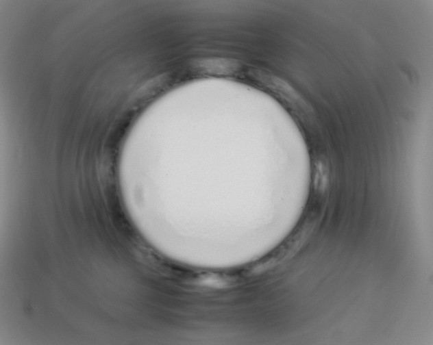 X0000113040377200910081216