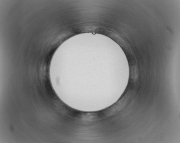 X0000113040378200910081216
