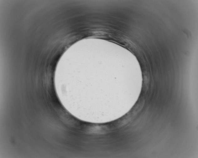 X0000113040379200910081216