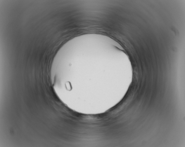 X0000113040380200910081216