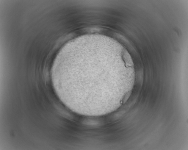 X0000113040381200910081216