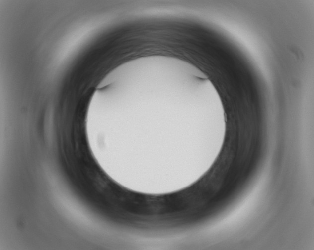 X0000113040382200910081216