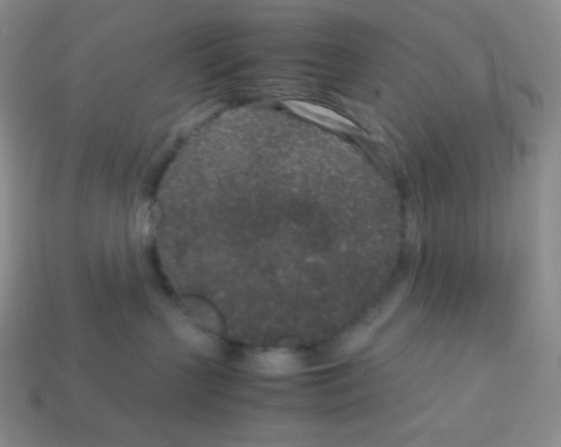 X0000113040383200910081216
