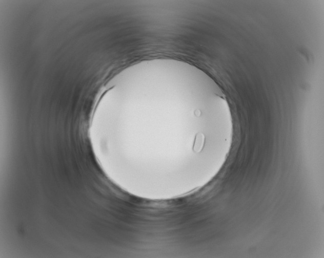 X0000113040384200910081216