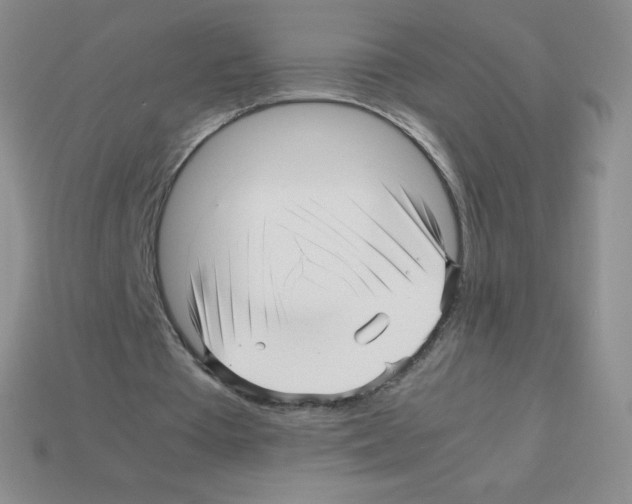 X0000113040385200910081215