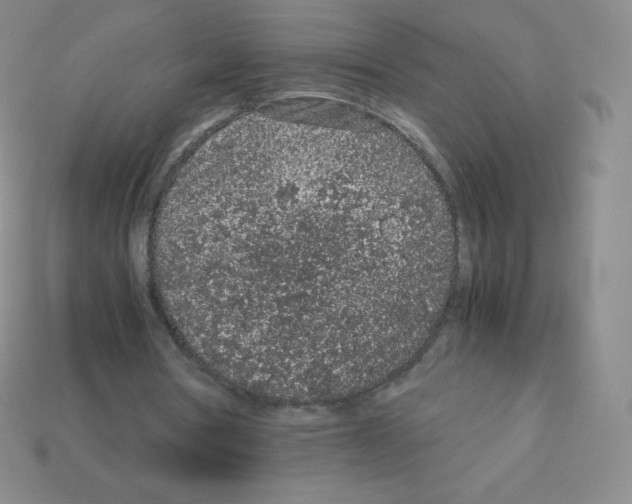 X0000113040386200910081215
