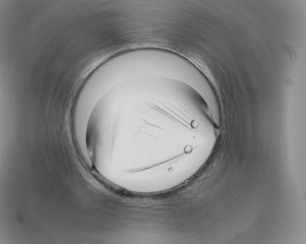 X0000113040389200910081215