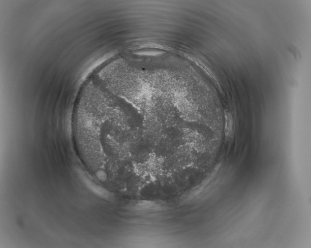 X0000113040390200910081215