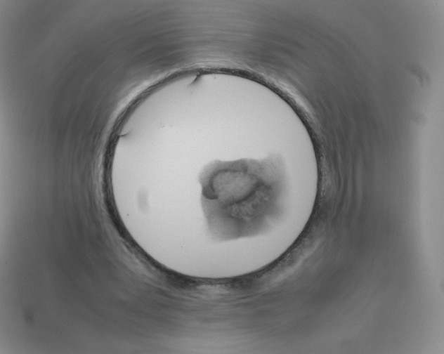 X0000113040391200910081215