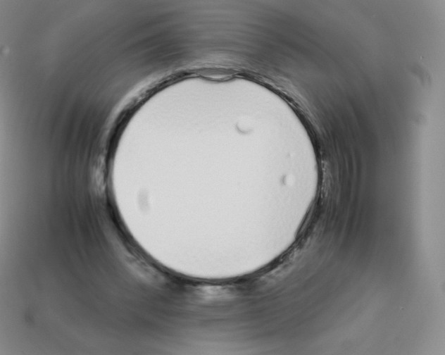 X0000113040392200910081215