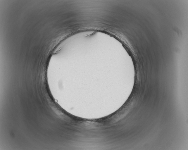 X0000113040393200910081215