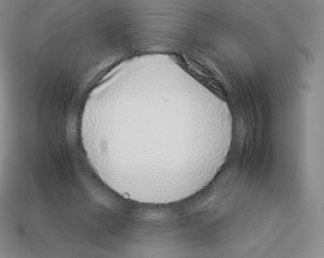 X0000113040394200910081215