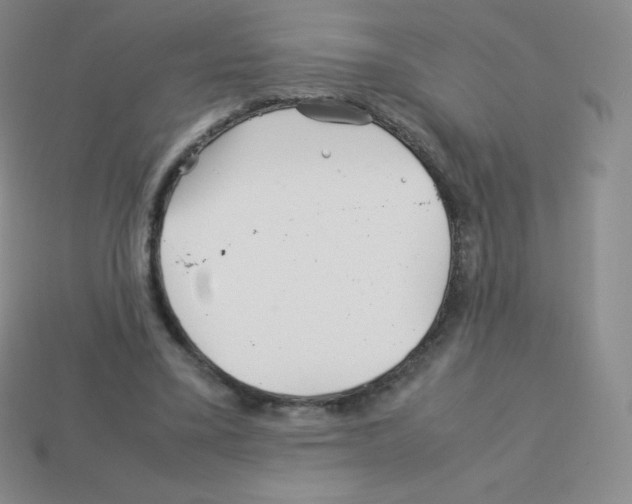 X0000113040395200910081215