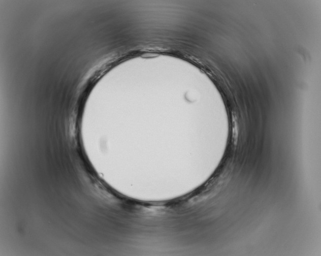 X0000113040396200910081215