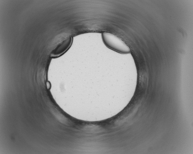 X0000113040397200910081215