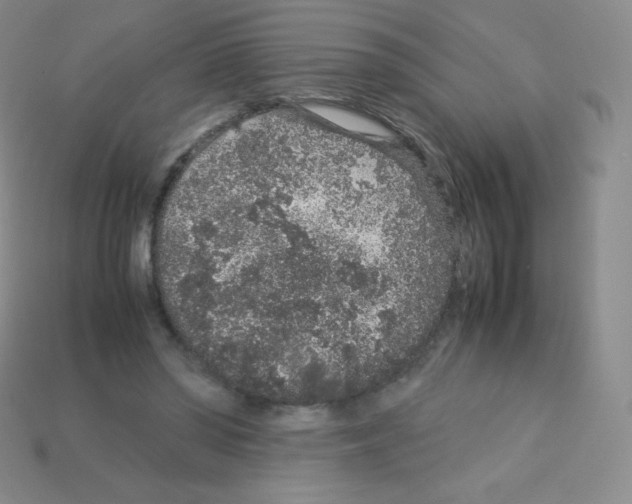 X0000113040398200910081215