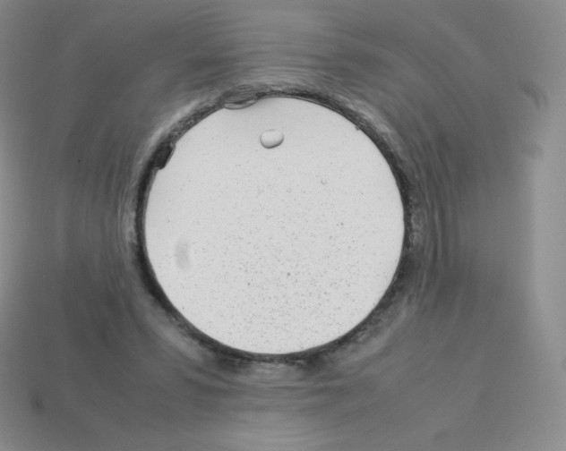X0000113040399200910081215