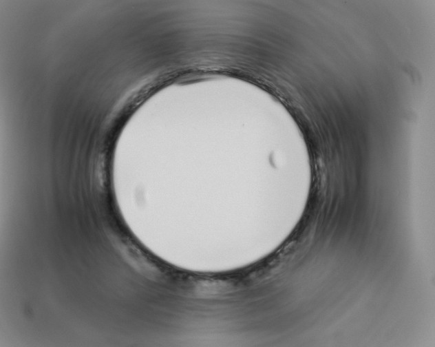 X0000113040400200910081215
