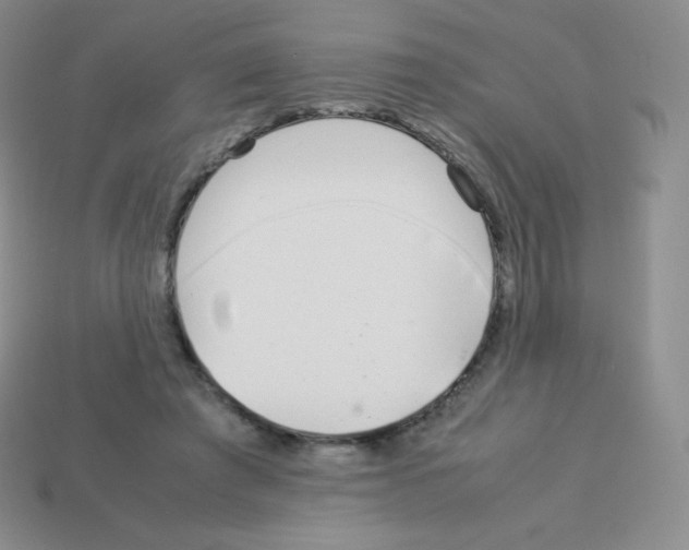 X0000113040401200910081215