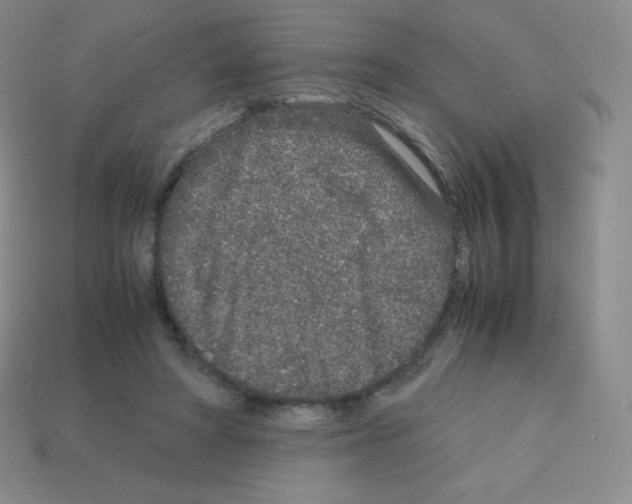 X0000113040402200910081215