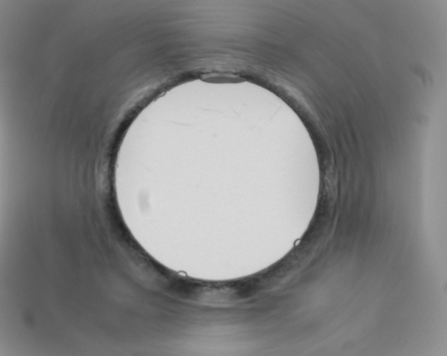 X0000113040403200910081215