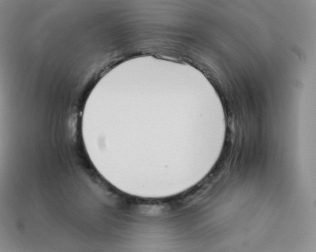 X0000113040404200910081215