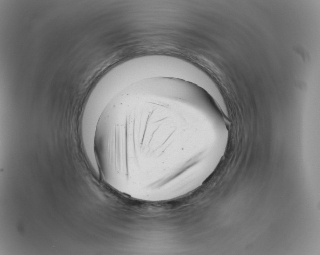 X0000113040405200910081215