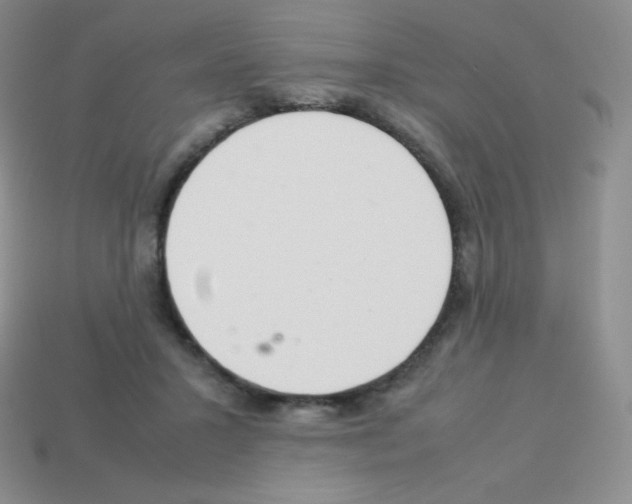 X0000113040407200910081215