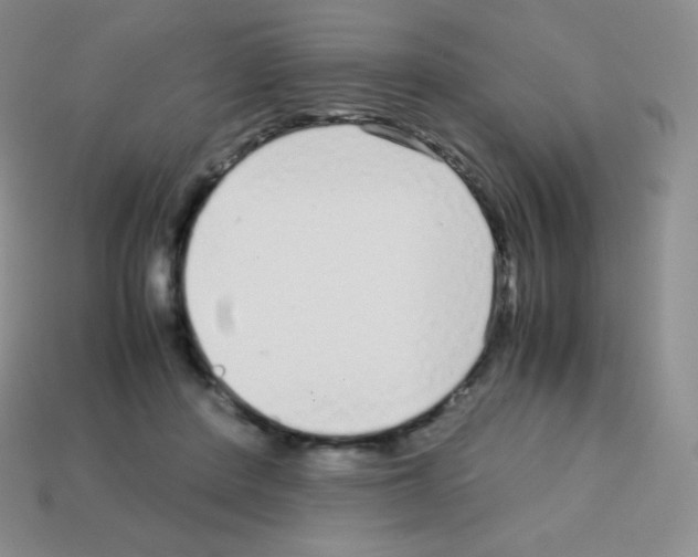 X0000113040408200910081215