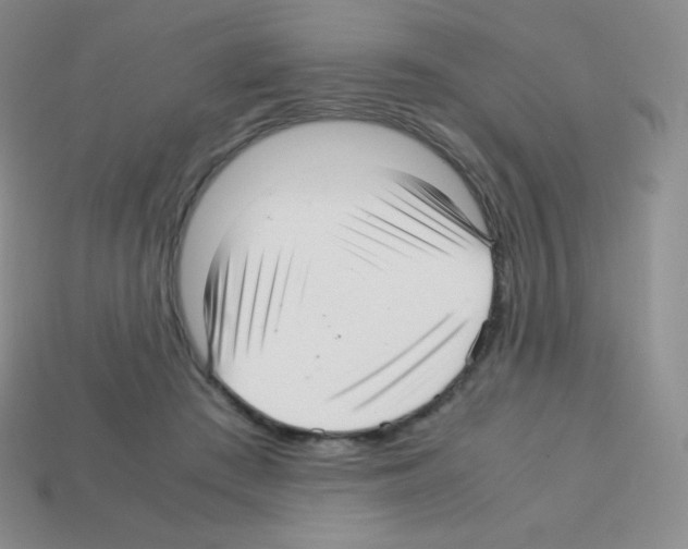 X0000113040409200910081215