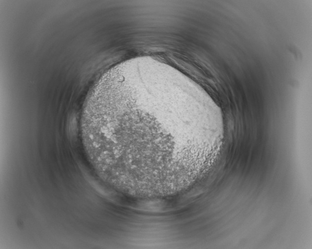 X0000113040410200910081215