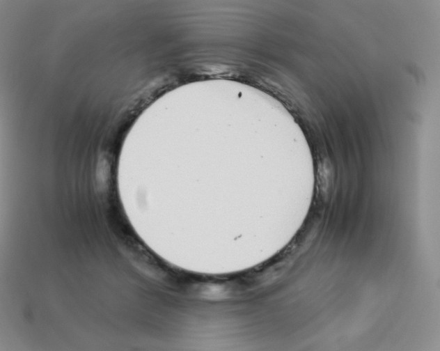 X0000113040412200910081215
