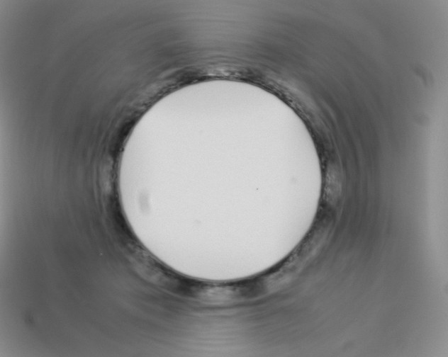 X0000113040413200910081215