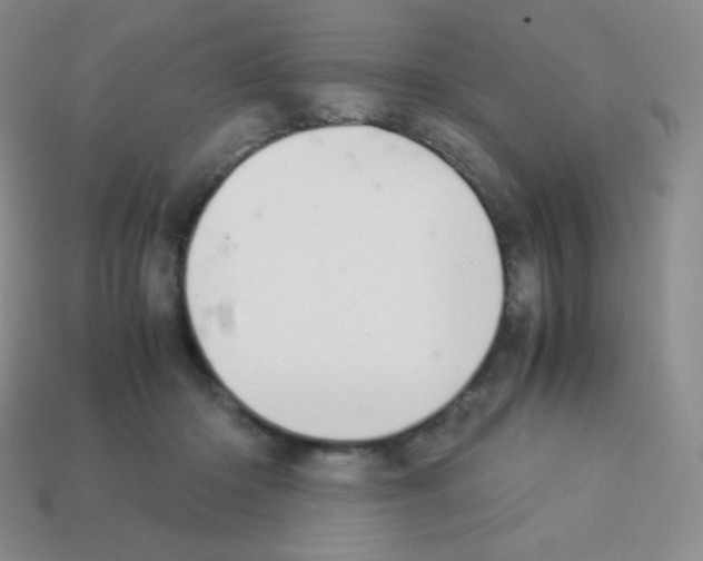 X0000113040414200910081215