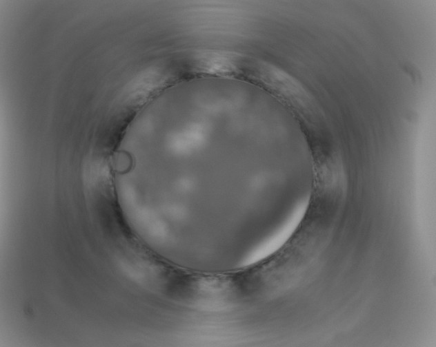 X0000113040415200910081215