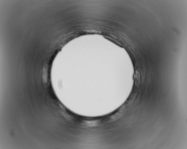 X0000113040416200910081215