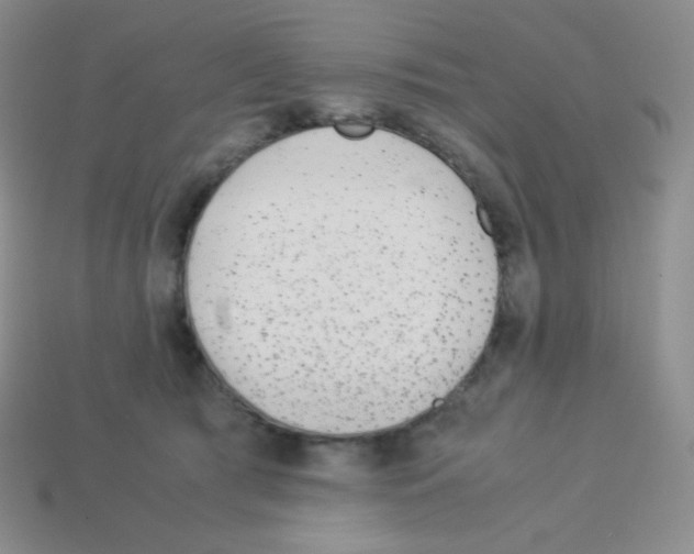 X0000113040417200910081215
