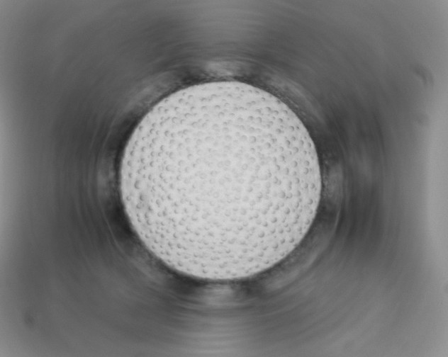 X0000113040418200910081215