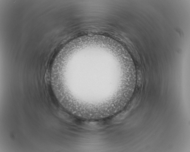 X0000113040419200910081215