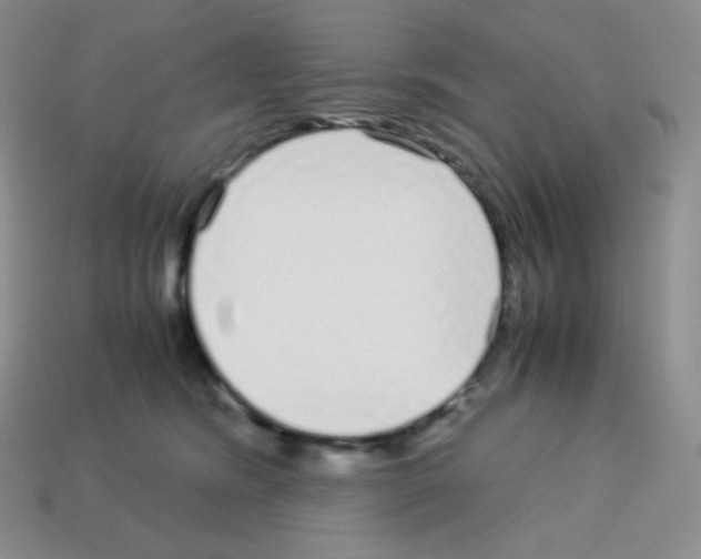 X0000113040420200910081215