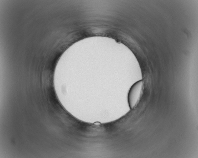X0000113040421200910081215