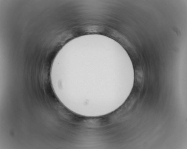 X0000113040422200910081215