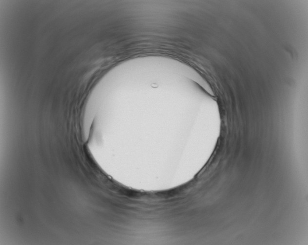 X0000113040423200910081215